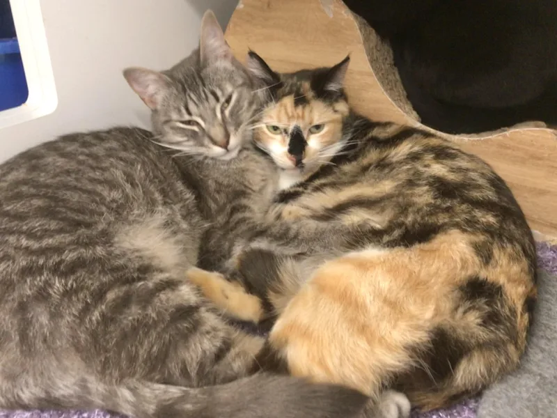 Haleakala thumbnail 3