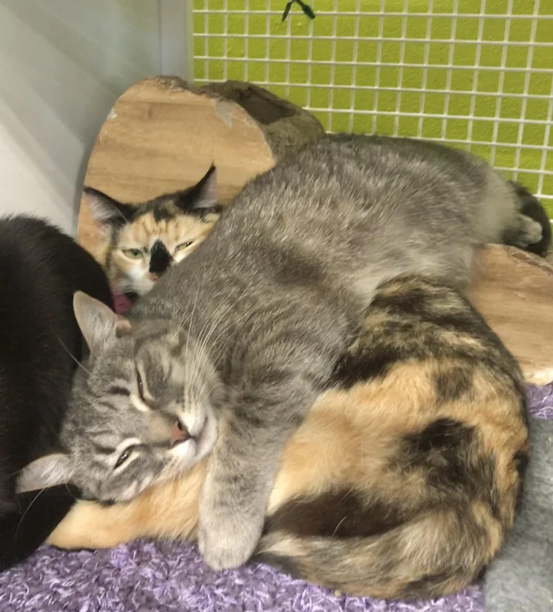 Haleakala thumbnail 4