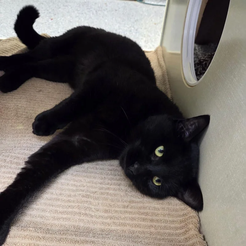 Sandi Buckley thumbnail 2