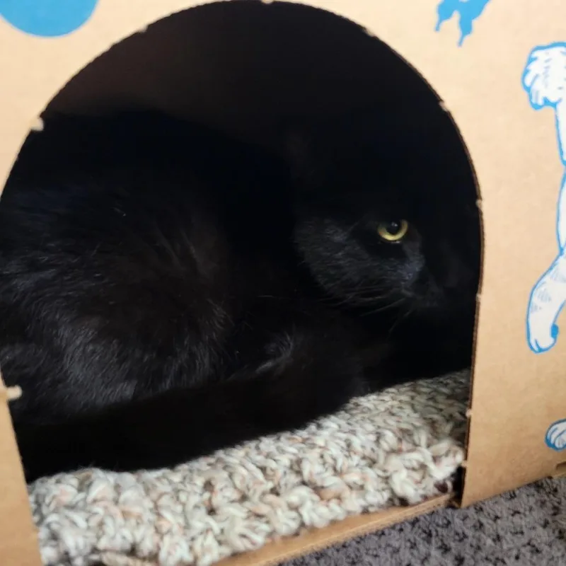 Sandi Buckley thumbnail 3