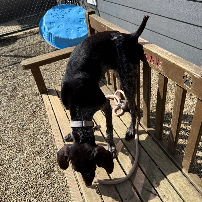 Trudy thumbnail 4