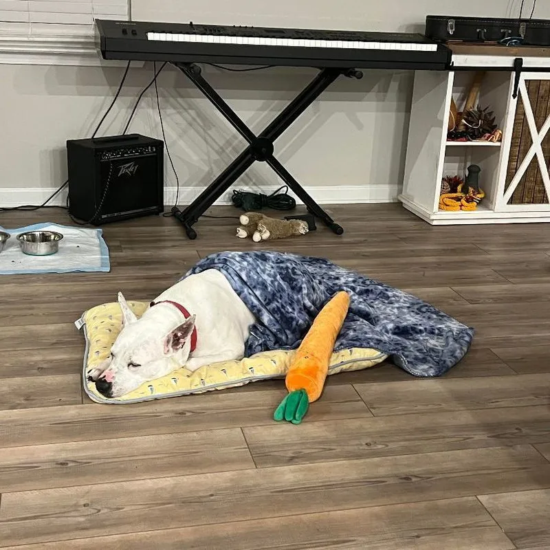 Anastasia thumbnail 3