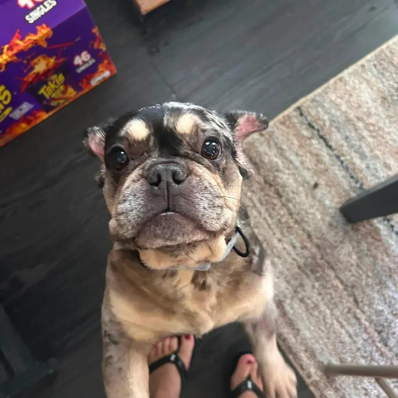 Charlie
