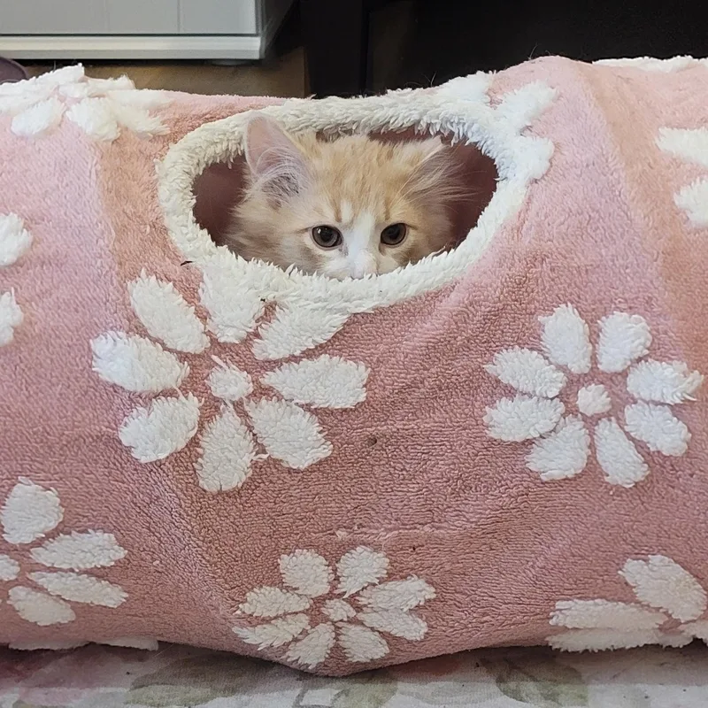 Nashville thumbnail 2