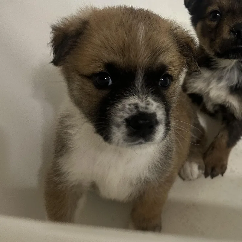 Sam Winchester thumbnail 2