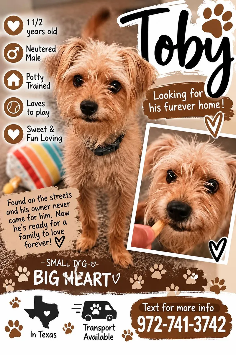 Toby thumbnail 2