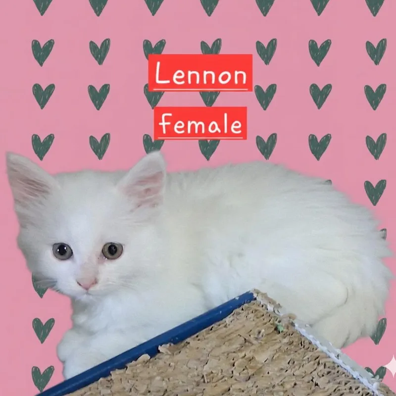 Lennon
