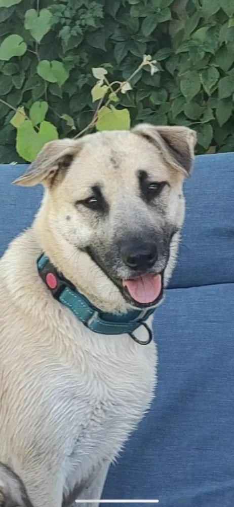 Zoey Martha thumbnail 2