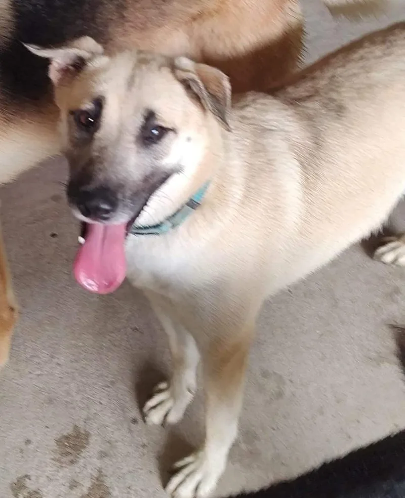 Zoey Martha thumbnail 4