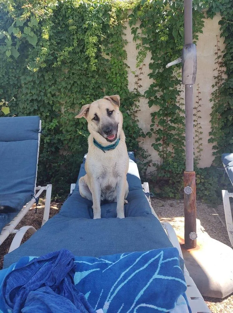 Zoey Martha thumbnail 5