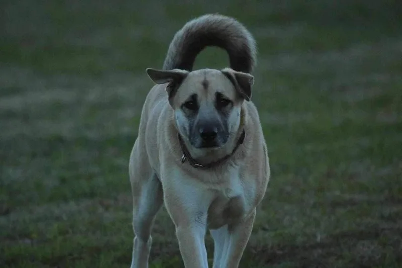 Zoey Martha thumbnail 6