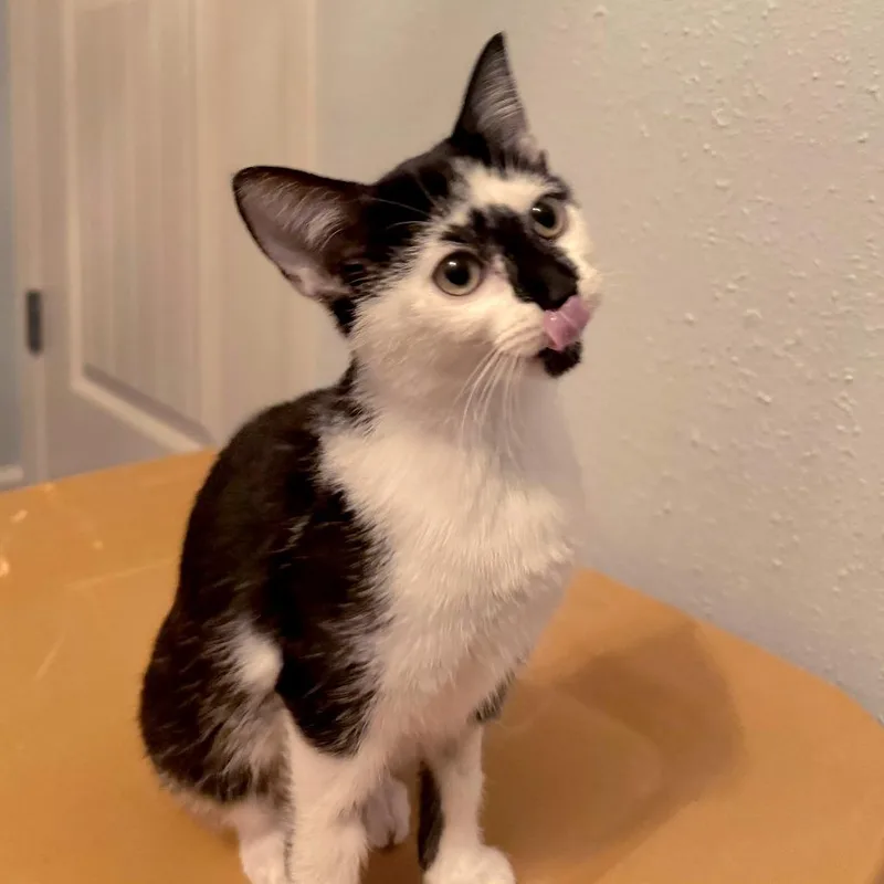 Marbles thumbnail 2