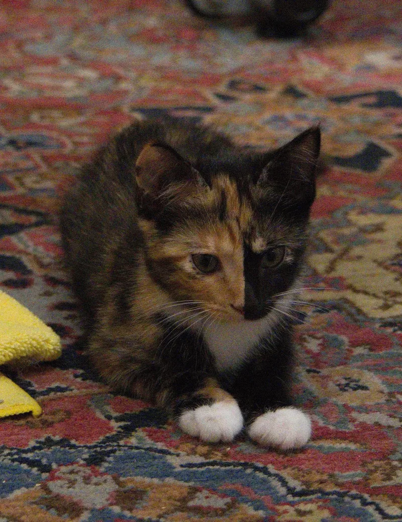 Jenny thumbnail 3