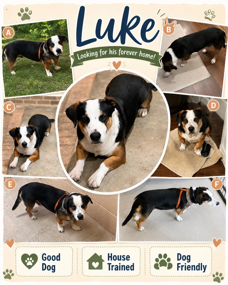 Luke