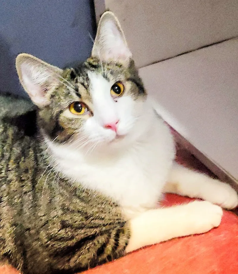 Cheers Norm thumbnail 2