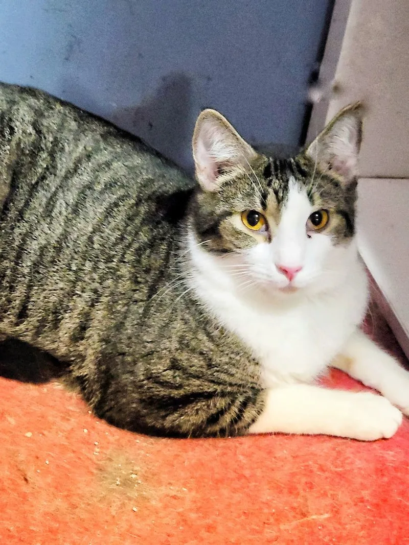 Cheers Norm thumbnail 3