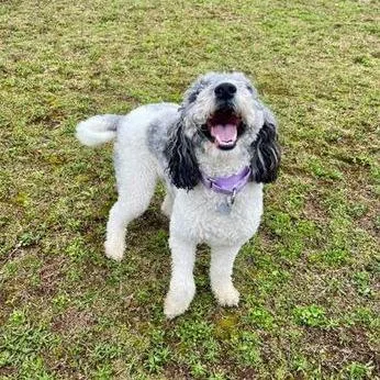 Luna Mae thumbnail 3