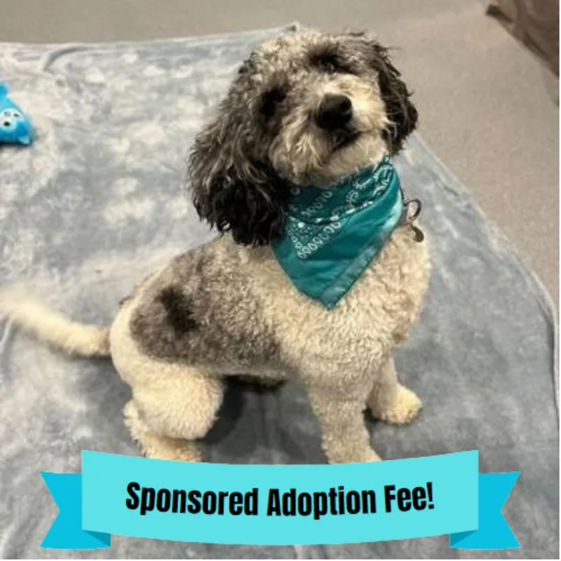 Luna Mae thumbnail 4