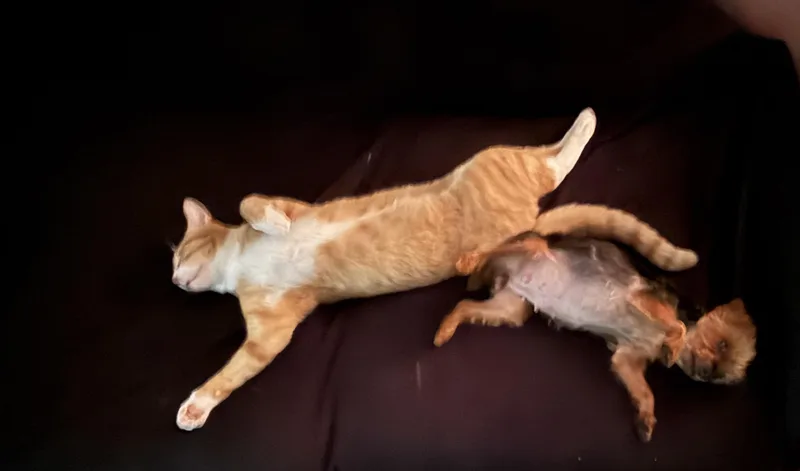 Meet Doctor Hadassah: Most thumbnail 2