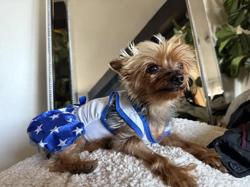 Meet Doctor Hadassah: Most thumbnail 4