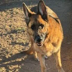 Baylee