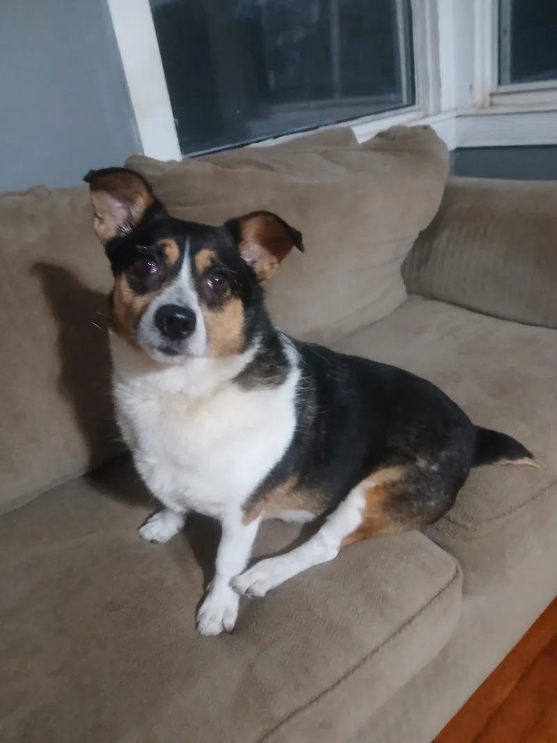 LuLu thumbnail 2