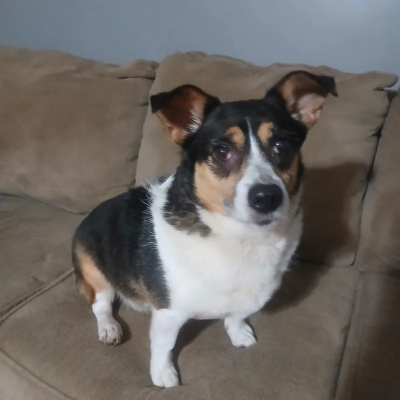 LuLu thumbnail 3