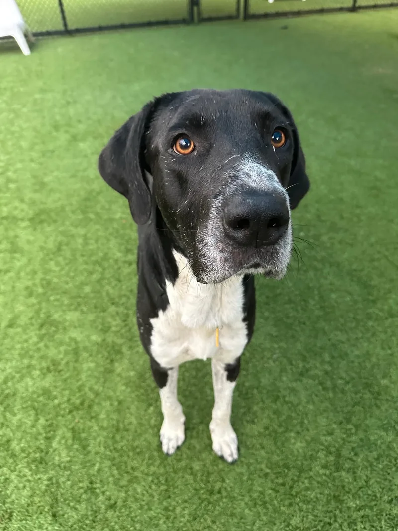 Jack Mccoy thumbnail 2