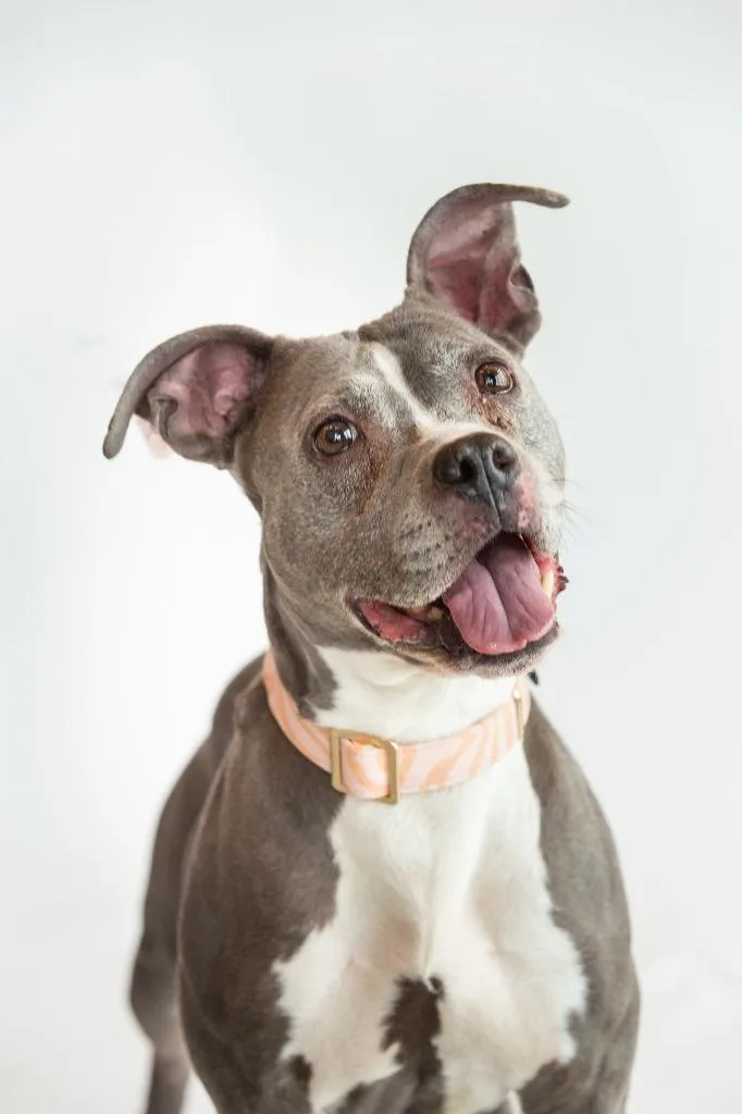 Mrs. Fletcher thumbnail 2