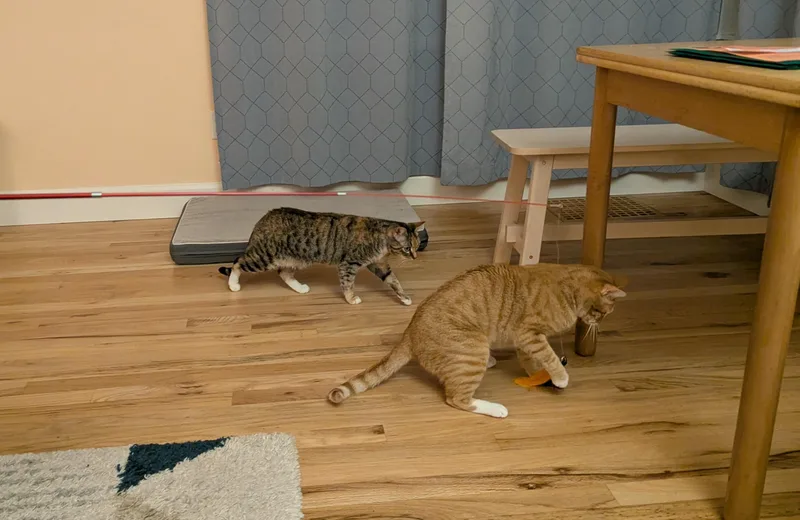 Lee And Eleanor thumbnail 2