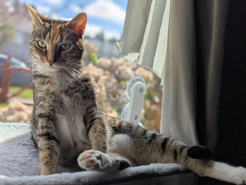 Lee And Eleanor thumbnail 3