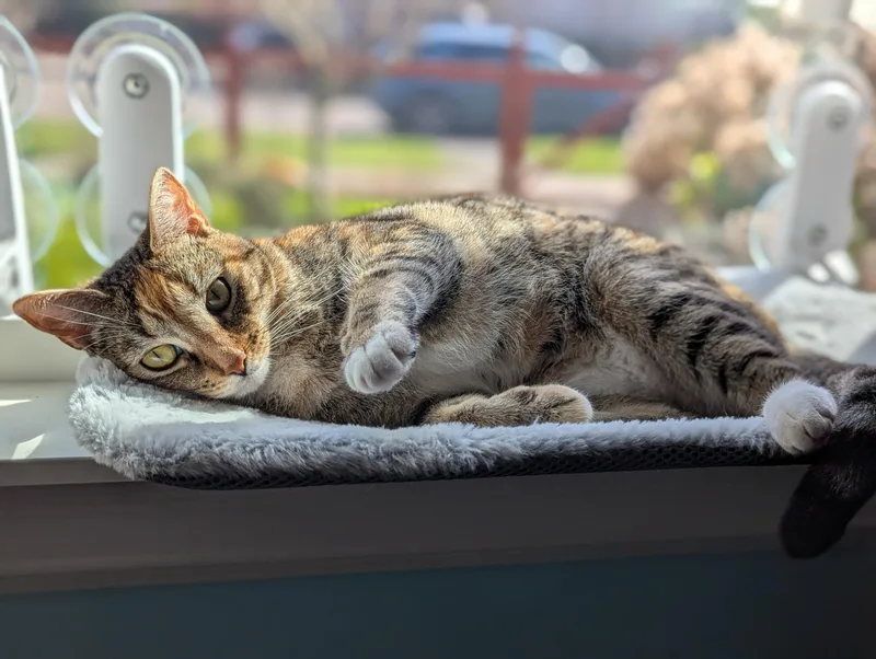 Lee And Eleanor thumbnail 4