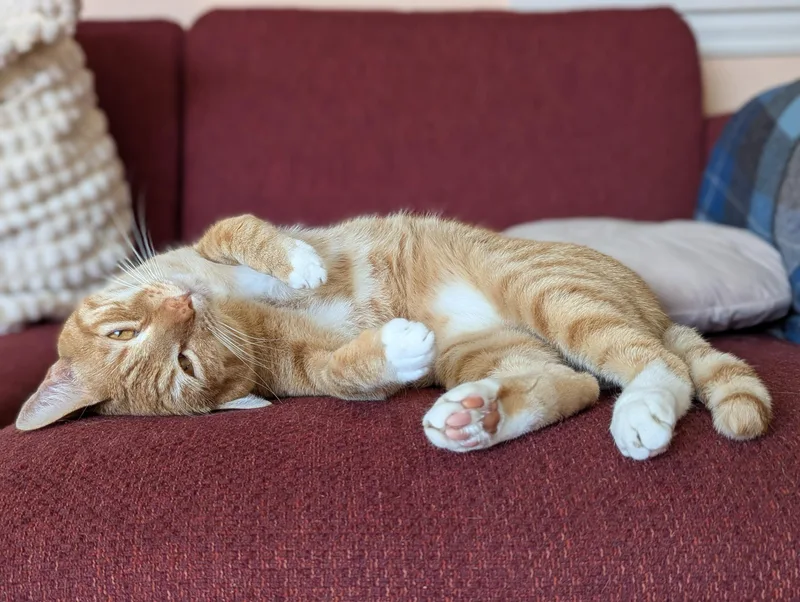 Lee And Eleanor thumbnail 5