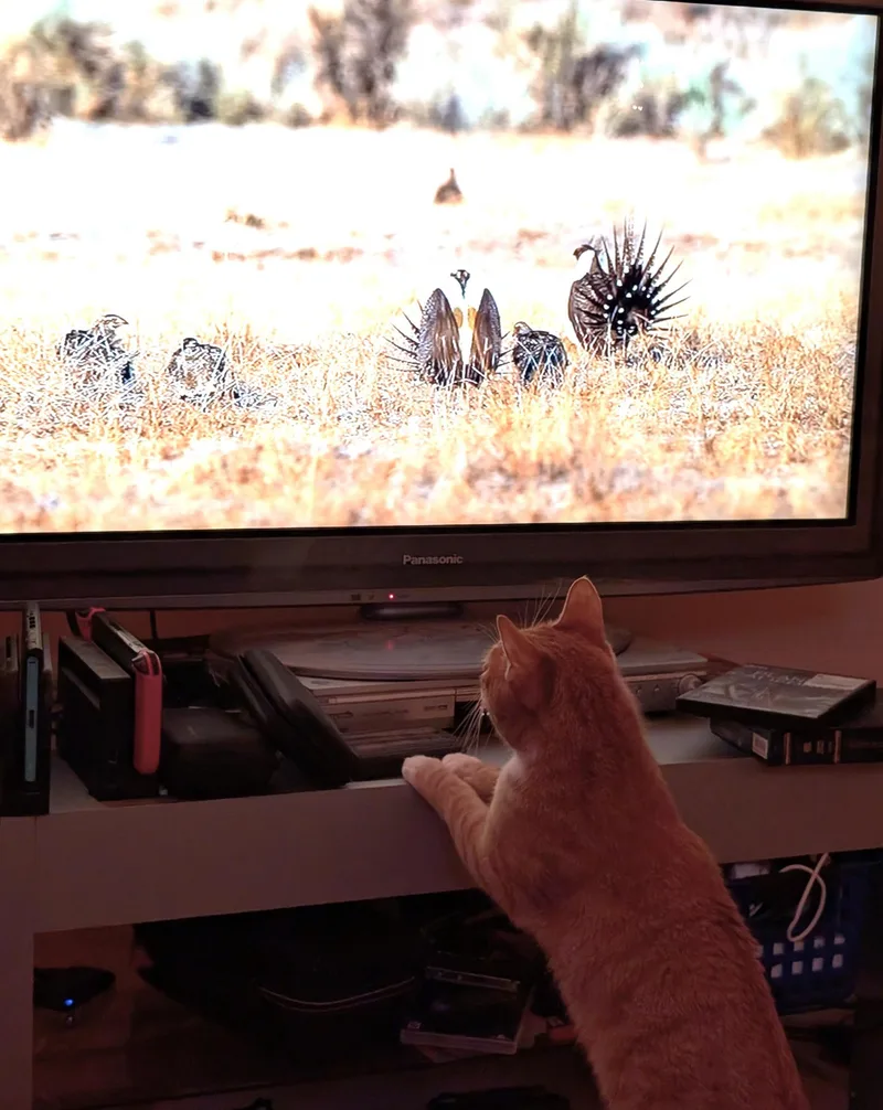 Lee And Eleanor thumbnail 6