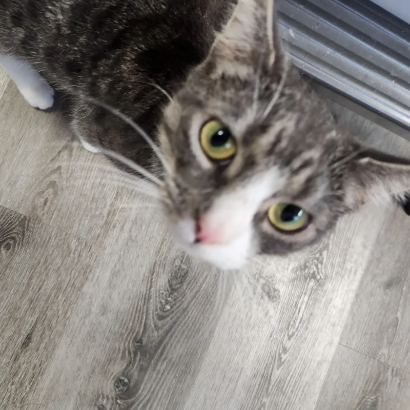 Abbie thumbnail 2
