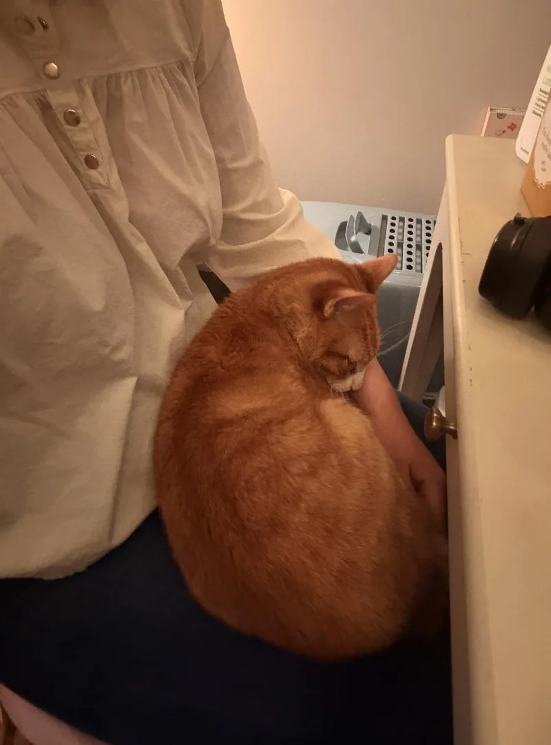 Doordash thumbnail 3