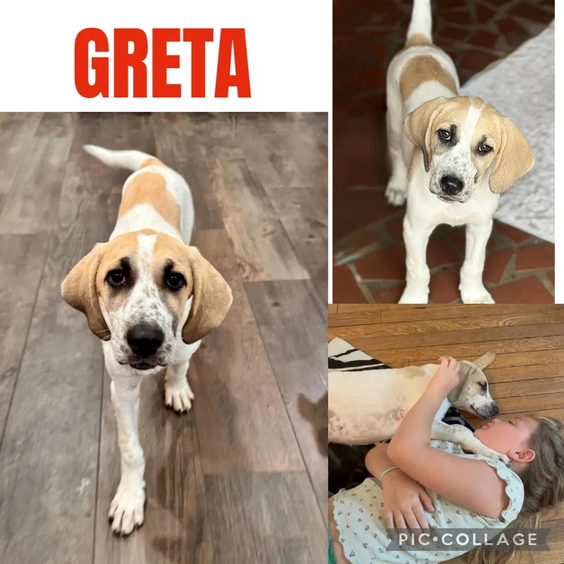 Greta thumbnail 3