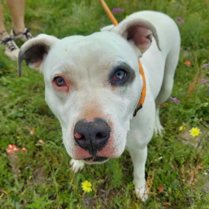 Aspen Jum thumbnail 2