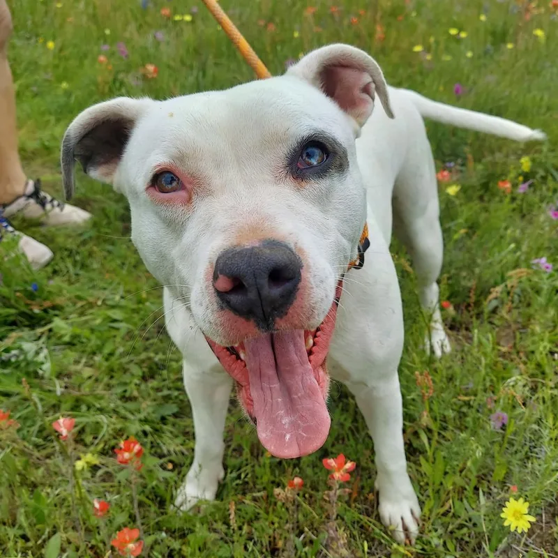 Aspen Jum thumbnail 5