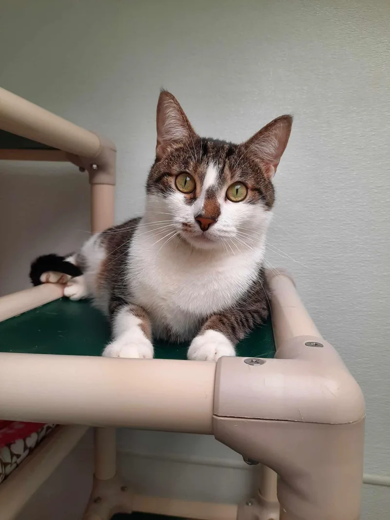 Finn And Baby thumbnail 3