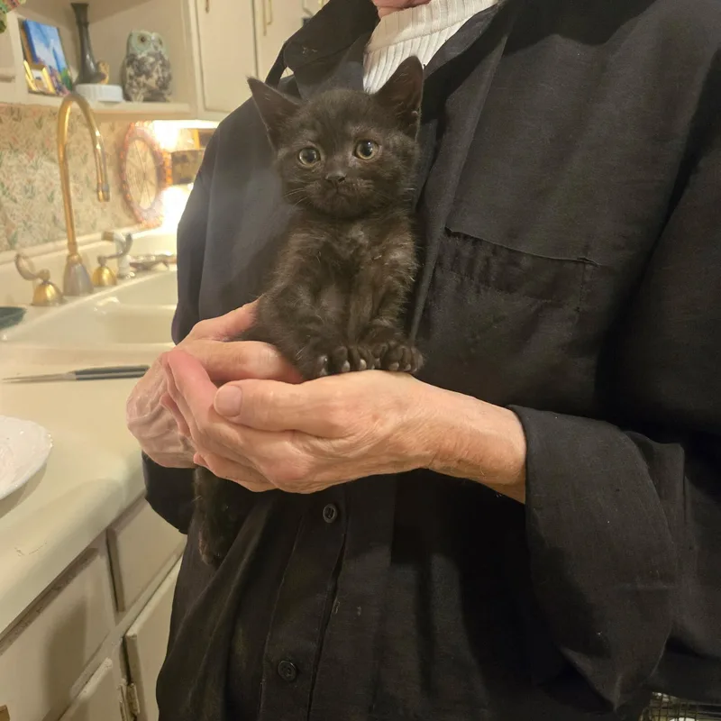 Lilo and Torti thumbnail 2