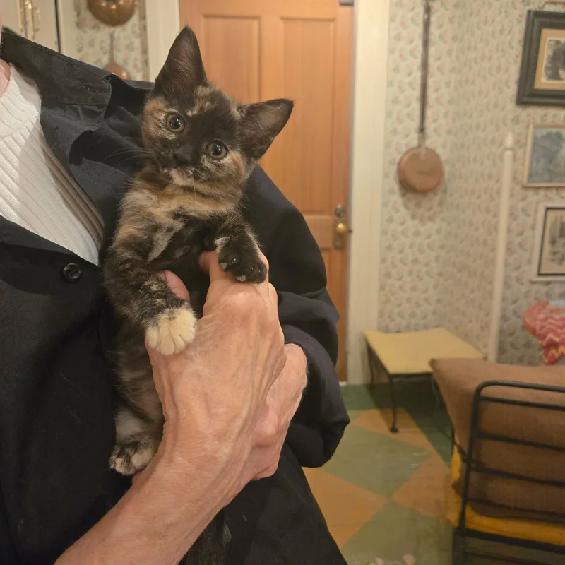 Lilo and Torti thumbnail 5
