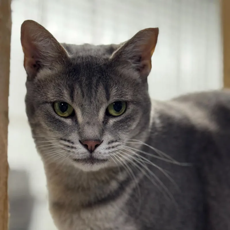 Charlotte thumbnail 5