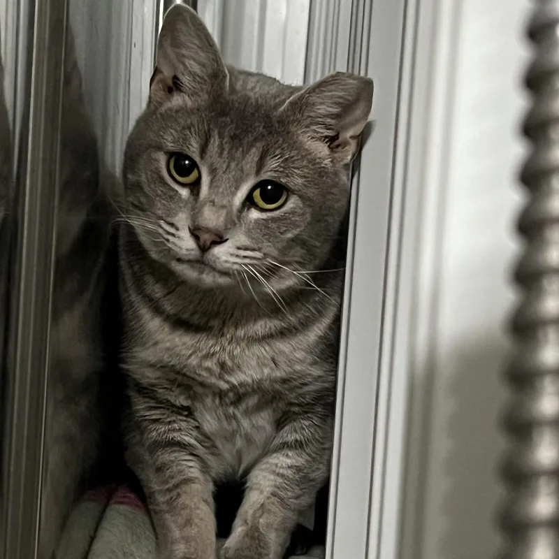 Charlotte thumbnail 6