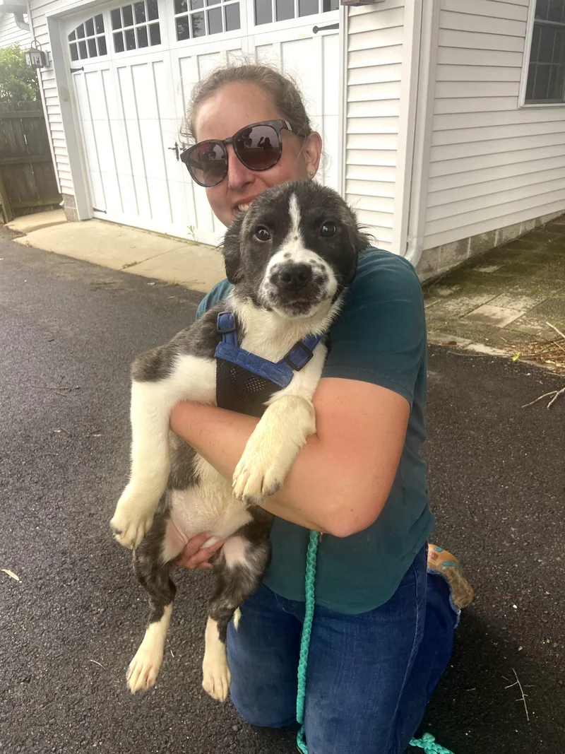 Harbor Spunky thumbnail 3