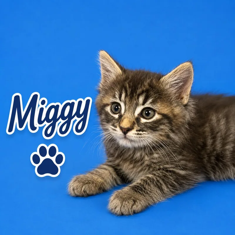 Miggy thumbnail 5