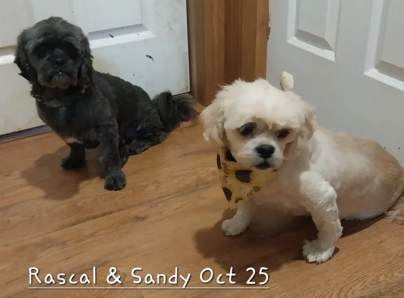Rascal & Sandy