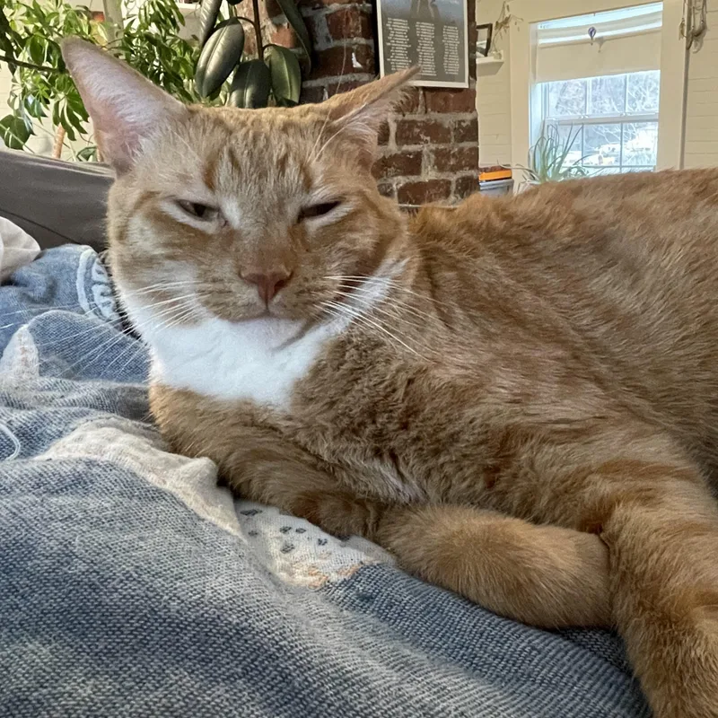 John Wayne thumbnail 3