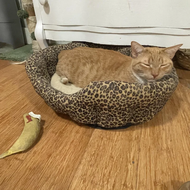 John Wayne thumbnail 5