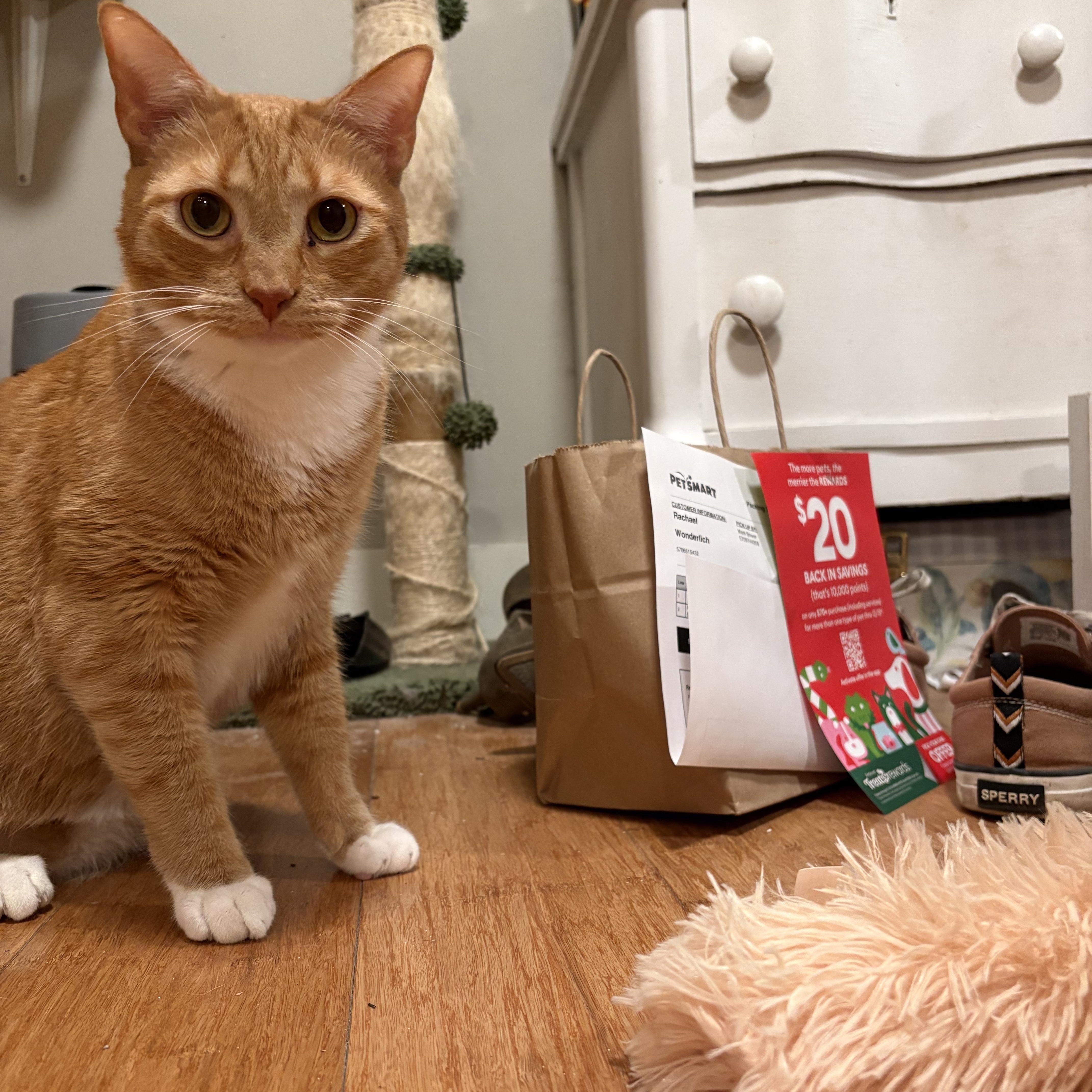 John Wayne thumbnail 6